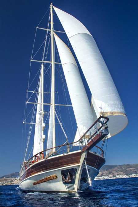 Estrella De Mar