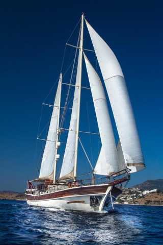 Estrella De Mar